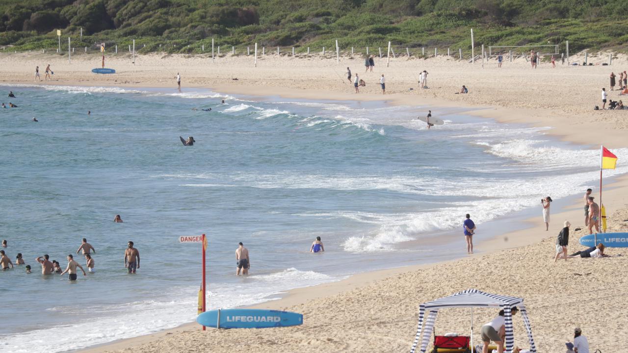 Shark alarm sparks beach evacuation