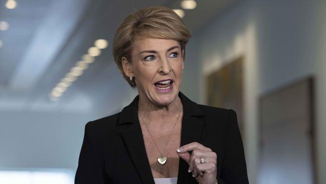 Michaelia Cash was also silenced. Picture: NCA NewsWire / Gary Ramage