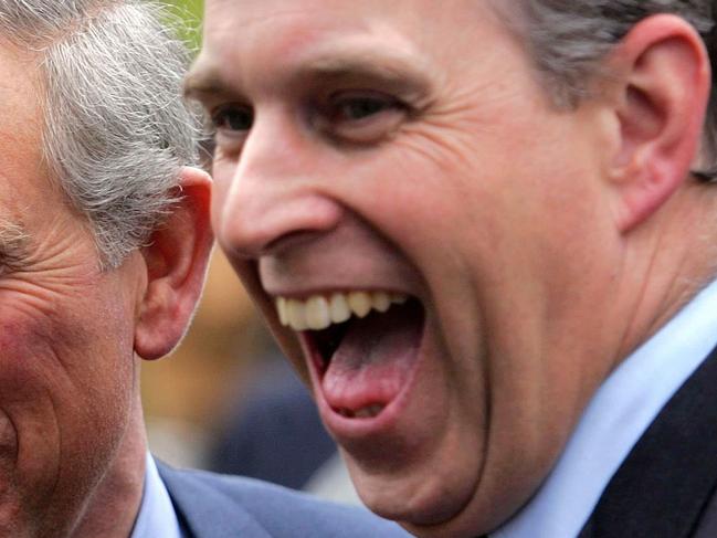 (FILES) In this file photo taken on May 22, 2006, Britain's Prince Charles (L) and his brother Prince Andrew share a joke as they visit the annual Chelsea Flower show in London. - Prince Andrew on November 20, 2019 said he was cancelling his public engagements, as the outcry from the British royal's friendship with convicted sex offender Jeffrey Epstein showed no sign of abating. (Photo by DAVID BEBBER / POOL / AFP)