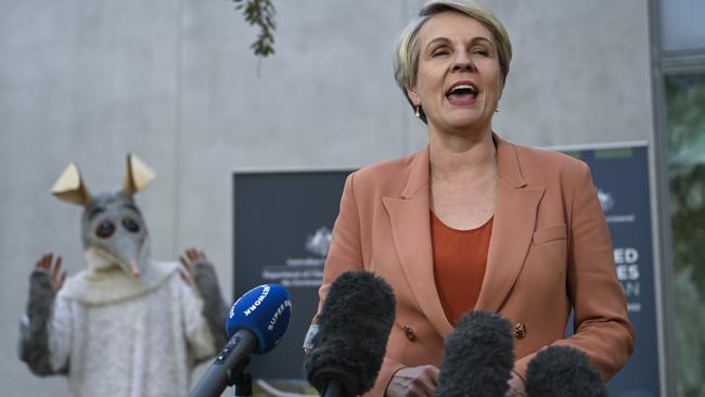 Minister for the Environment and Water Tanya Plibersek celebrates threatened species day at Parliament House.