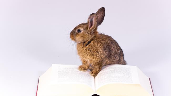 The Easter long weekend is a great time to catch up on reading. Picture: Supplied 