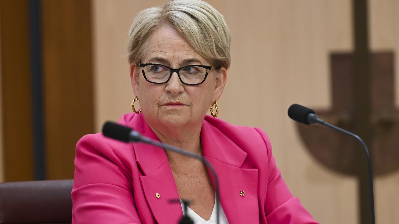 Senator Barbara Pocock listens to proceedings on Friday. Picture: Martin Ollman