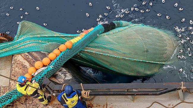 A humpback whale entangled in krill fishing nets. Picture: International Whaling Commission