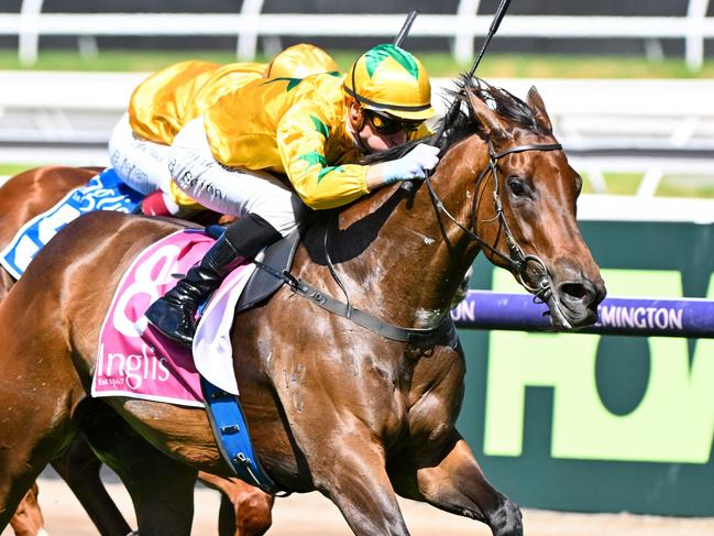 MELBOURNE, AUSTRALIA - MARCH 02: Blake Shinn riding Estriella winning Race 7, the Inglis Sprint, during Melbourne Racing at Flemington Racecourse on March 02, 2024 in Melbourne, Australia. (Photo by Vince Caligiuri/Getty Images)