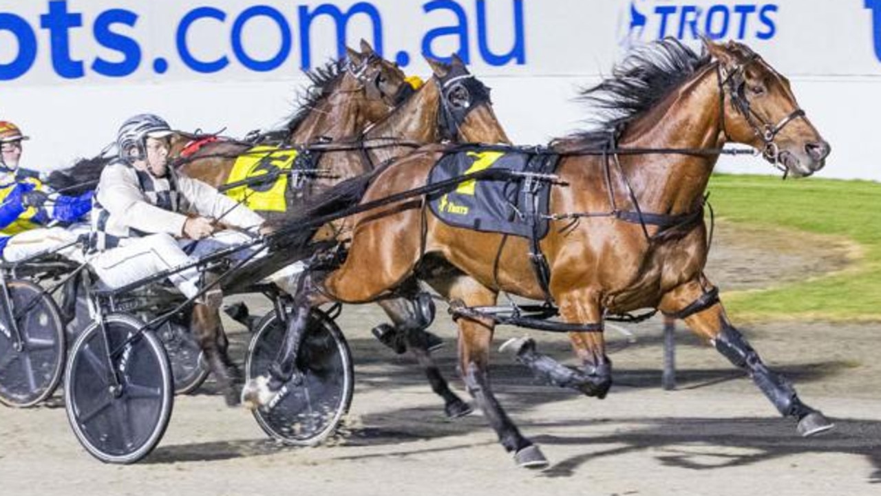 Harness superstar ruled out of Victoria Cup