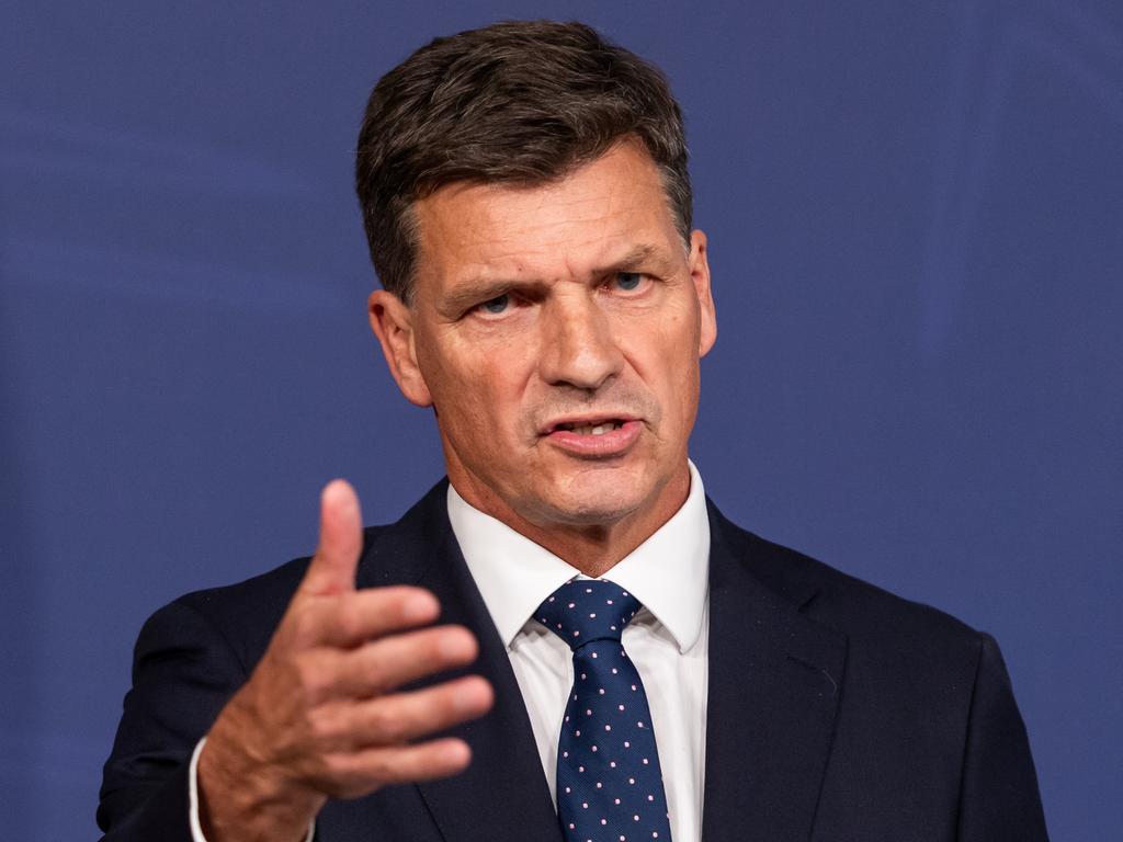 What to do with Angus Taylor will be a key problem for Ley. Picture: Monique Harmer
