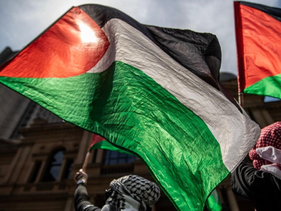 Pro-Palestinian protesters rally at Sydney Town Hall
