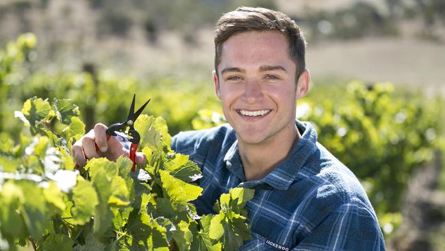 Richard’s nephew Oliver Jones among the vines.