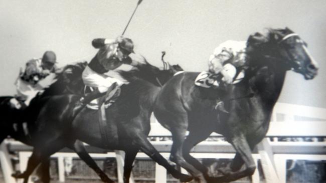 Ray Neville on Rimfire leads the way in the straight.