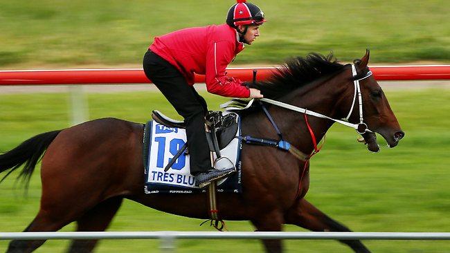 Tommy Berry gets his first feel of Tres Blue at Werribee trackwork, galloping along at three-quarter pace and completing three laps of the 1800m course. Picture: Colleen Petch