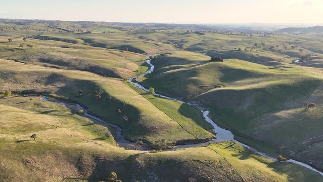 The estimated carrying capacity at Funny Hill is 40,000 dry sheep equivalent.