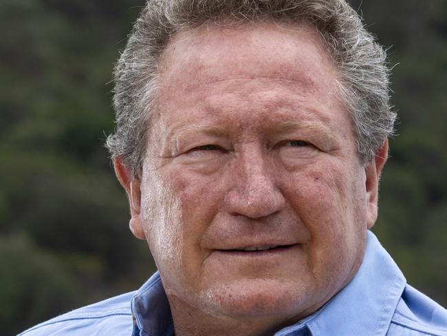 Andrew Forrest pictured along Swan River, Perth WA. Forrest has written a letter to Facebook CEO Mark Zuckerberg criticising his lack of action over fake ads.PHOTO: MARIE NIRME