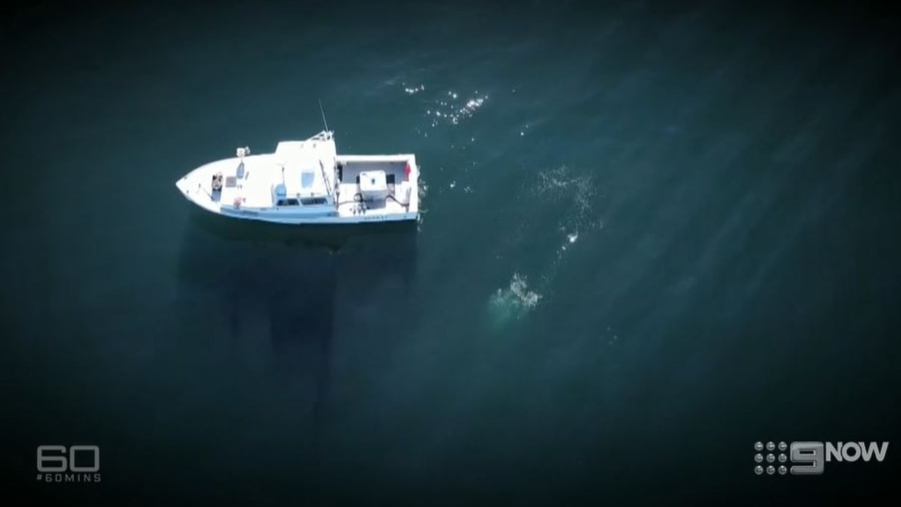 Michael Packard told 60 Minutes he didn’t believe the whale that swallowed him wanted to kill him.