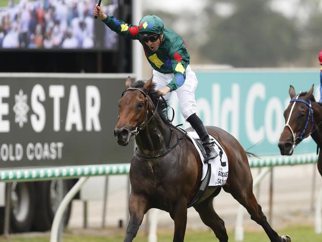 GOLD COAST, AUSTRALIA - JANUARY 11: Ryan Maloney rides Alligator Blood to victory int he $2 Milion Gold Coast Magic Millions 3YO Guineas race during the 2019 Magic Millions at the Gold Coast Turf Club on January 11, 2020 in Gold Coast, Australia. (Photo by Regi Varghese/Getty Images)