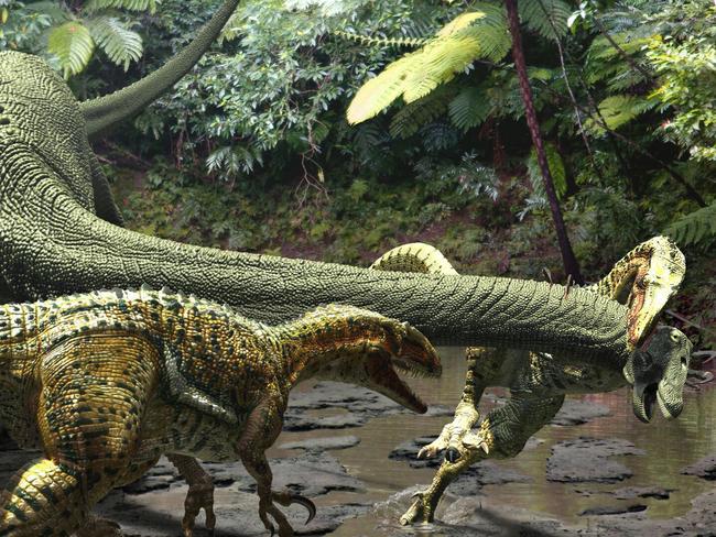 Australian scientists have found new dinosaur remains of a Australovenator wintonensis, was discovered on a private cattle property just outside of central Queensland.Artist Travis Tischler's impression of Diamantinasaurus being attacked by a pack of Australoventor's