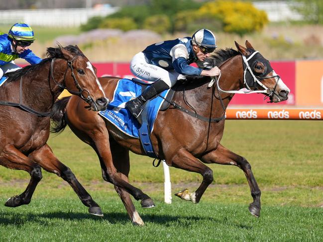 Soulcombe wins the Heatherlie Stakes at Caulfield in September, 2023. Picture: Scott Barbour-Racing Photos