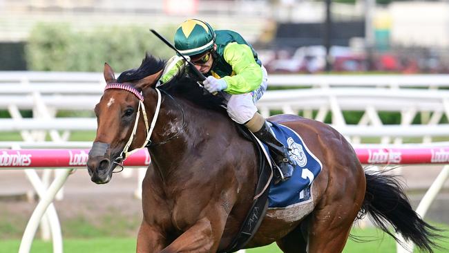 Yellow Brick wins in dominant style at Eagle Farm for trainers Tony and Maddy Sears and jockey Andrew Mallyon. Picture: Grant Peters, Trackside Photography.