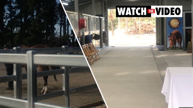 Inside the RSPCA’s new Peninsula Equine Stables