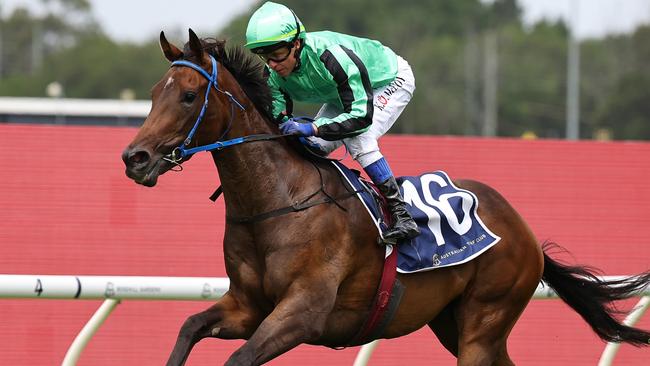 SYDNEY, AUSTRALIA - JANUARY 18: Kerrin McEvoy riding Shohisha  win Race 4 Midway during Sydney Racing at Rosehill Gardens Racecourse on January 18, 2025 in Sydney, Australia. (Photo by Jeremy Ng/Getty Images)