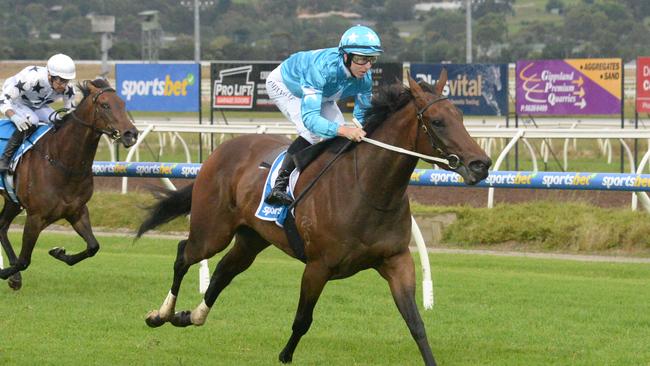 Trainers Mick Price and Michael Kent Jr have Amoursirra ready to return to racing after two strong jumpout efforts. Picture: Racing Photos