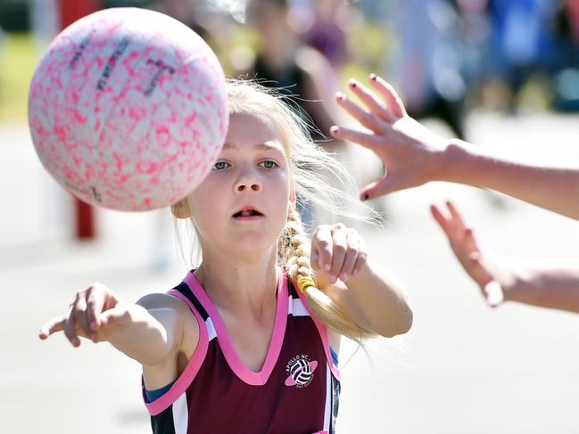 Netball has seen a 6.2 per cent increase in fees, compared to a 111 per cent increase for touch football. Picture: Troy Snook