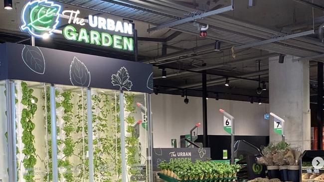 Woolies’ new vertical farms, with herbs growing in the fresh food section. Image via Invertigro's Instagram page.