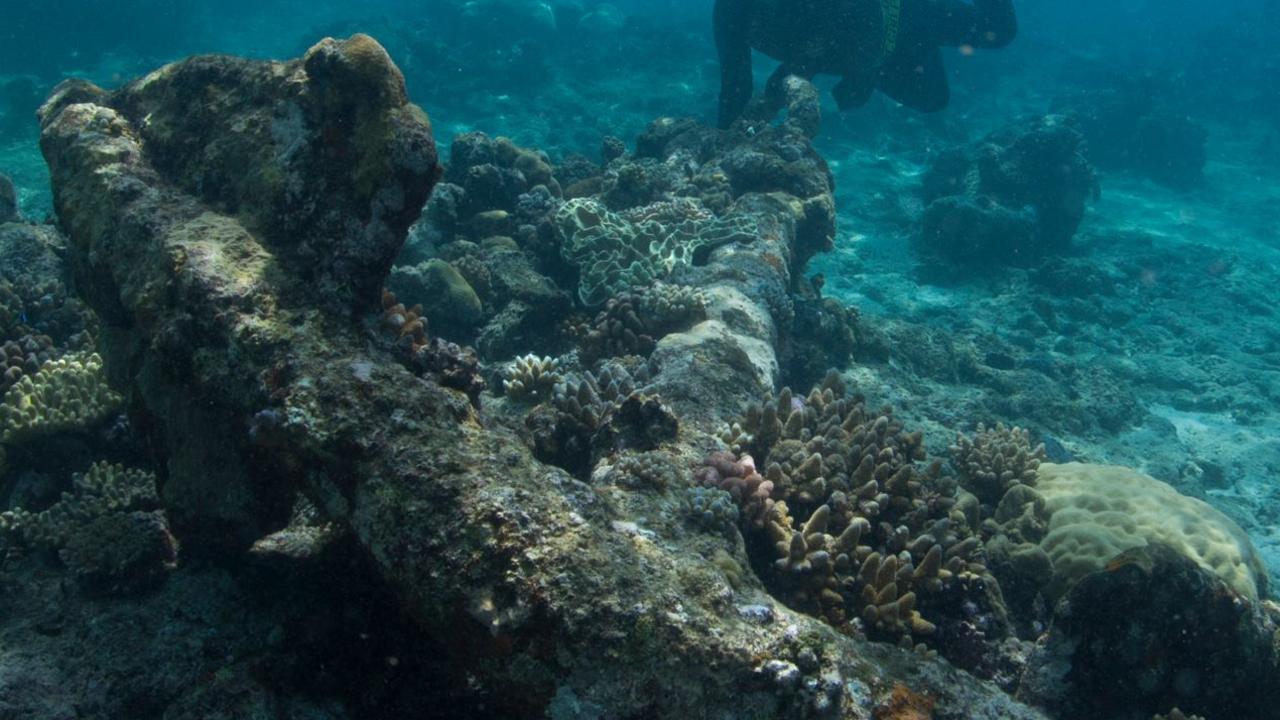 Nine men dead after ‘large wave’ strikes boat near Ashmore Reef | news ...