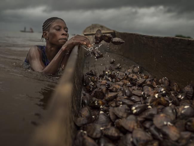 Since the dawn of time, people have been diving in the mangroves in the Congo River in search of clams. Women spend hours scouring the river bed in search of this treasure, swimming alongside manatees and turtles and fighting treacherous currents. Picture: Kris Pannecoucke