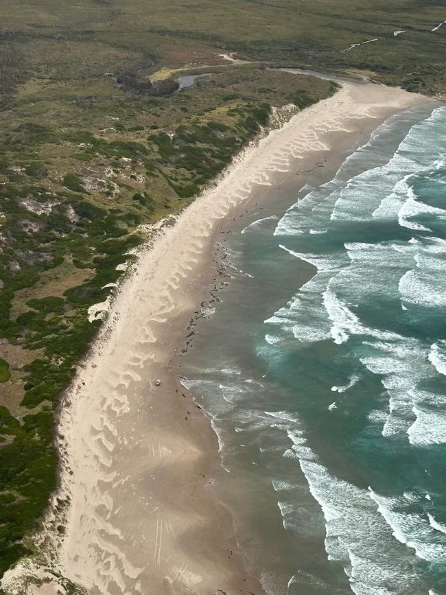 The remote Tasmanian beach, near Arthur River, on the West Coast. Picture: NRE Tasmania