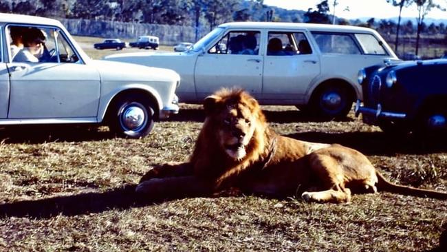 Bullen’s African Lions Safari circa 1986.