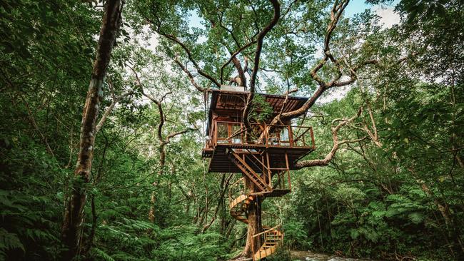 Both available rooms are perched high up in the canopy.