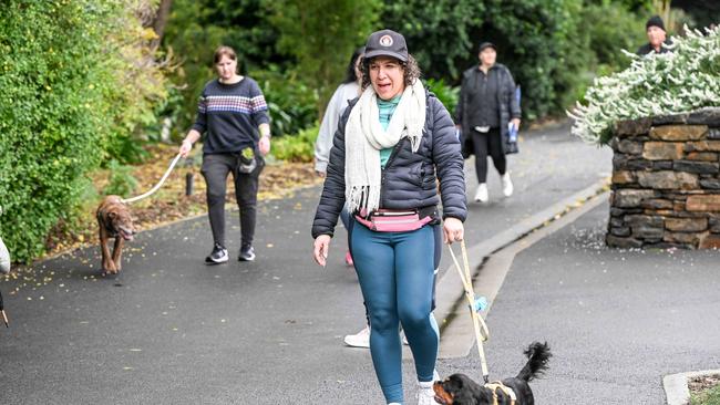Million Paws Walk at Adelaide Botanic Gardens. Picture: Brenton Edwards