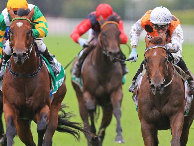 Samantha ridden by Corey Brown (orange)  wins race 3 during Royal Randwick races in Sydney.  Pic Jenny Evans