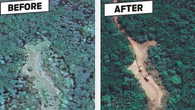 A before and after of some of the national park land he cleared for a 2.3km dirt track through critically protected mangroves.