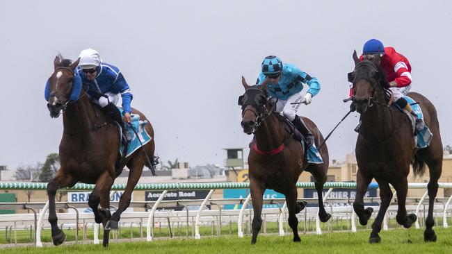 Fast Thinker (left) wins from Volfoni (right) and Igor (centre) at Gold Coast Turf Club on December 12, 2020. Picture: Greg Irvine/Magic Millions