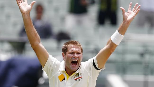 Day 5 Test India v Australia Ryan Harris Picture:Wayne Ludbey