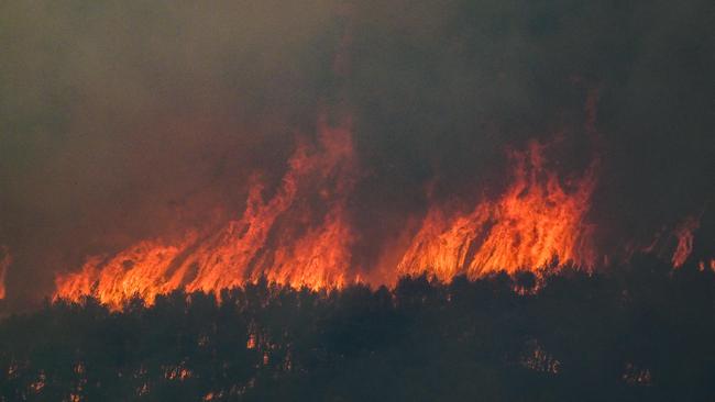 A wild fire in Agia Sotira, near Athens, around mid July as Europe sweltered under a relentless heatwave amid scorching global temperatures that have prompted health authorities to sound alarms from North America to Europe and Asia. Picture: AFP