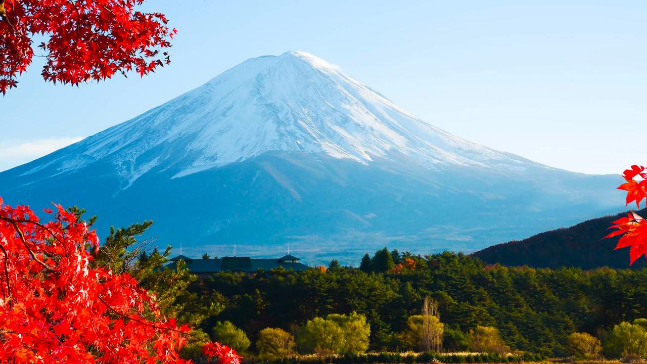 Cairns/japan flights: Free travel opens after restrictions | Herald Sun