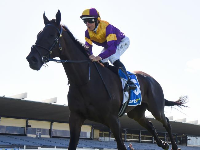 Farag (NZ) ridden by Damian Lane wins the Sportsbet Make It Look Easy Handicap at Sportsbet Sandown Hillside Racecourse on March 20, 2024 in Melbourne, Australia. (Photo by Pat Scala/Racing Photos via Getty Images)