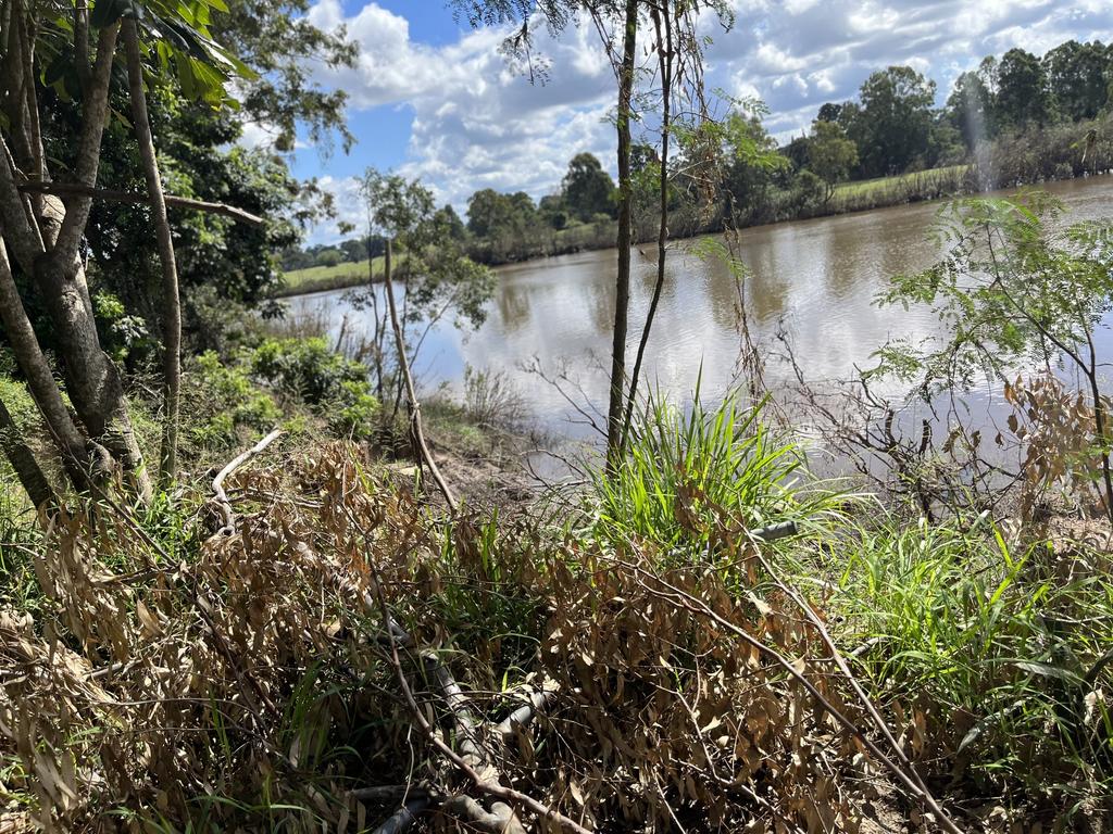 Vegetation falling into the Mary River because of erosion caused by the flooding.