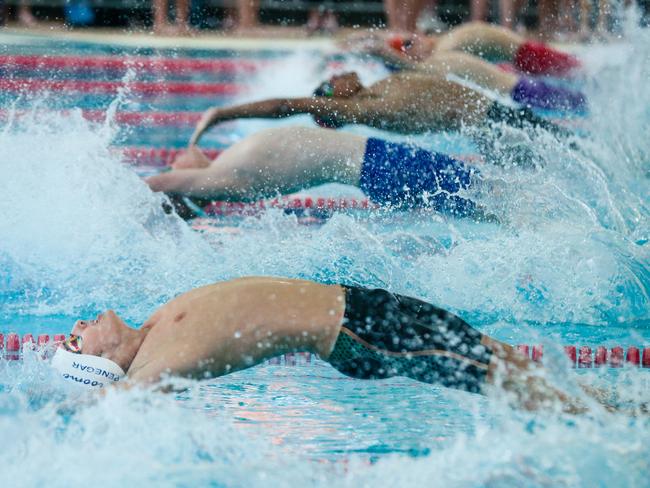 WA’s Lachlan Penegar in the 50m backstroke. Picture: Glenn Campbell