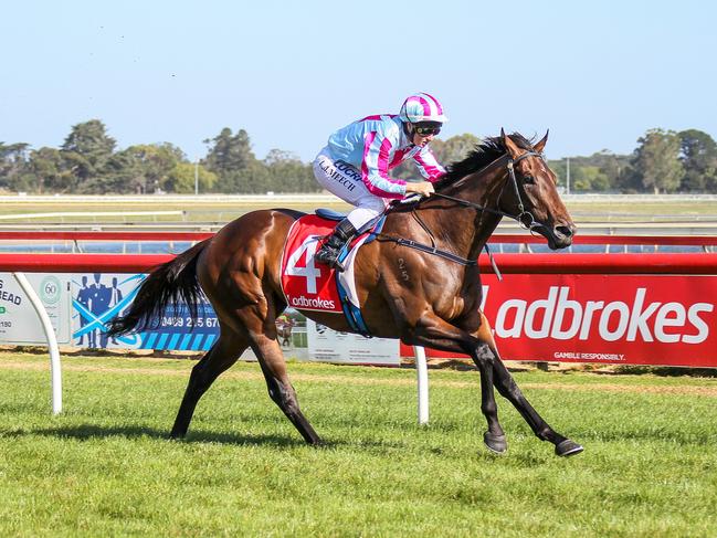 Etana ridden by Linda Meech wins the Maffra Cup 31st March BM64 Handicap at Sale Racecourse on February 24, 2019 in Sale, Australia. (Leonie Grbic/Racing Photos via Getty Images)