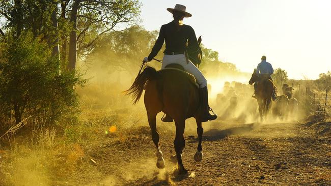 Emma Salerno, managing partner of Salerno Law, on her horse Spitfire in the Kimberley.