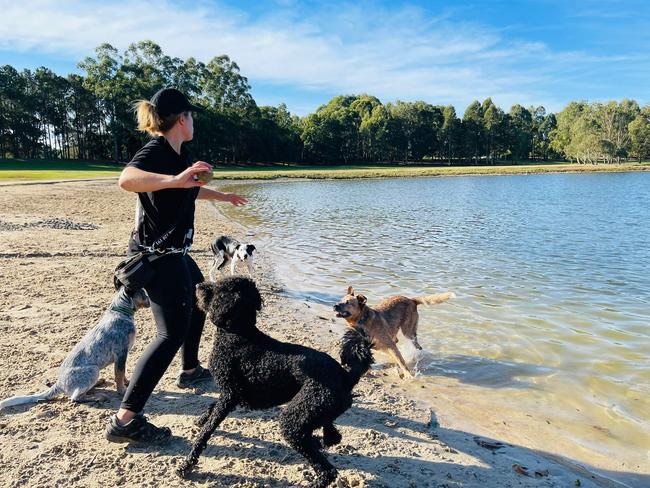Mad Dogs and Englishmen Gold Coast North franchise owner, Natalia Frizzo with some doggy daycare guests, Smokey, Charlie, Bandit, Harry. Picture: instagram.com/maddogsnorthgoldcoast