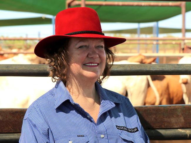 Gina Rinehart sells part of the Kidman cattle empire, WA stations