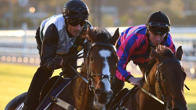 Glen Boss rode Constantinople at Flemington on Tuesday. Picture: AAP