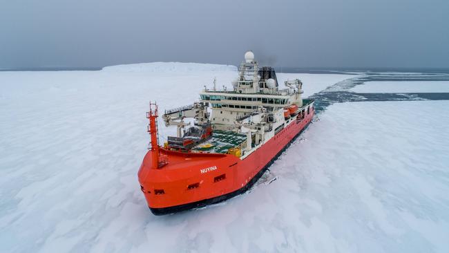 Australia's new Antarctic icebreaker, RSV Nuyina, in fast ice 2022 © Pete Harmsen AAD