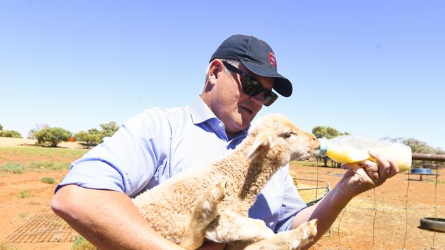 ScoMo feeds a lamb outside Quilpie, Queensland.