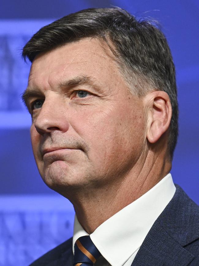 Shadow Treasurer Angus Taylor. Picture: NewsWire/Martin Ollman