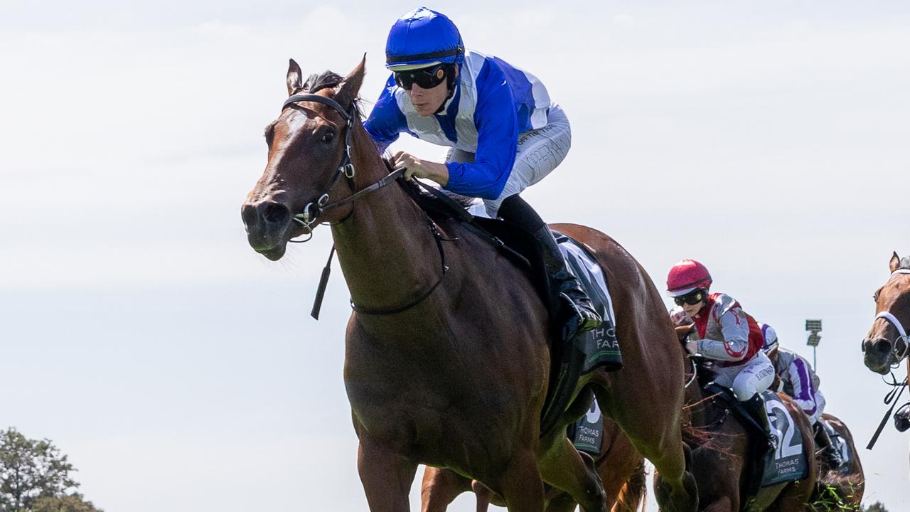 Frothy Macaw broke her maiden status at Morphettville Parks on Saturday. Picture: Makoto Kaneko